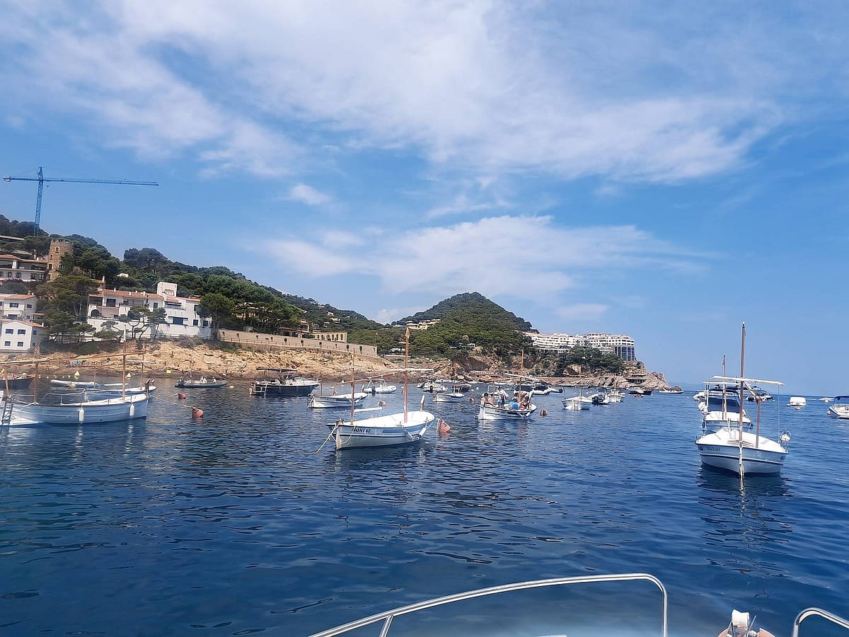 Barcos fondeados en boyas en Palamós, Costa Brava