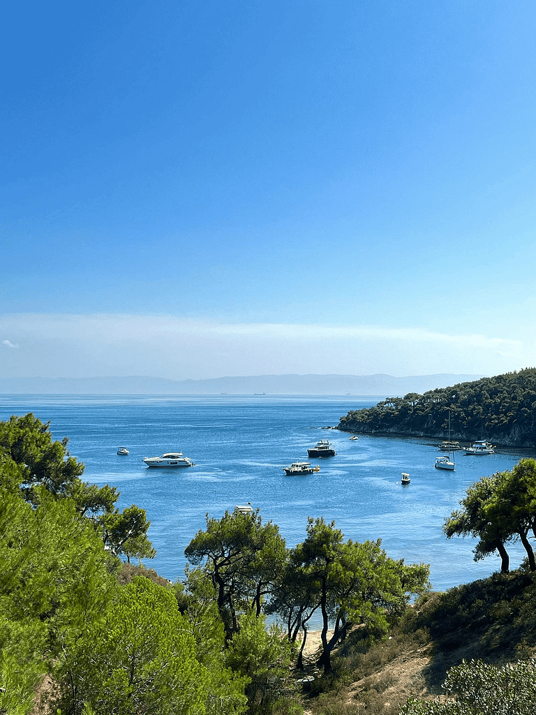 Ruta norte en barco desde Palamós pasando por Cala Castell